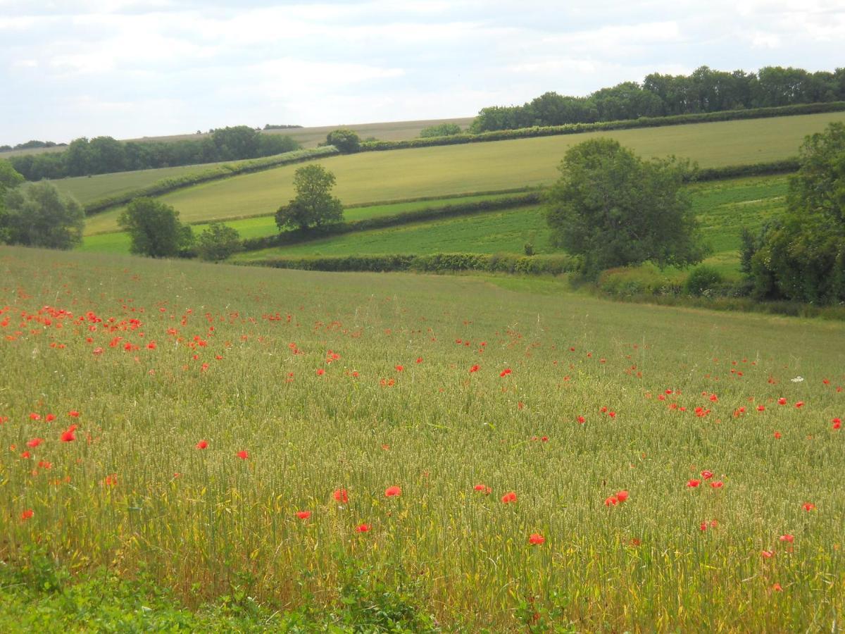 Far Hill Cottage Wyck Rissington المظهر الخارجي الصورة